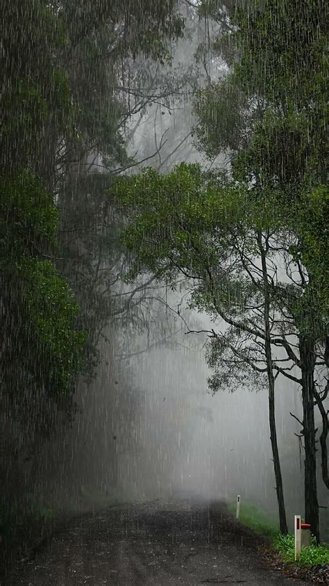 下雨天圖片|超过 400 张关于“下雨天”和“雨”的免费图片